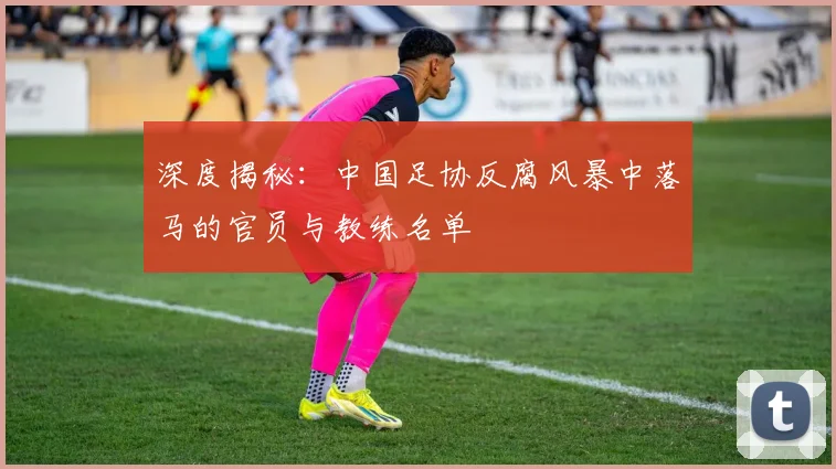 深度揭秘：中国足协反腐风暴中落马的官员与教练名单