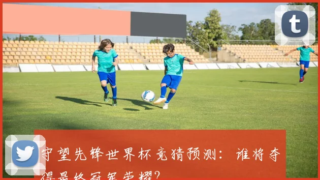守望先锋世界杯竞猜预测：谁将夺得最终冠军荣耀？
