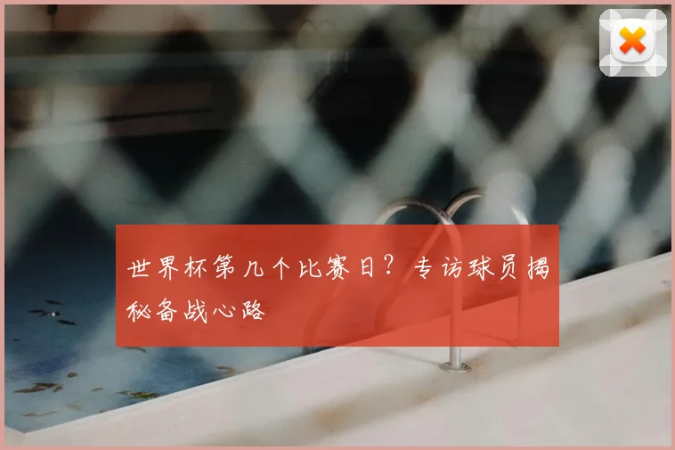 世界杯第几个比赛日？专访球员揭秘备战心路