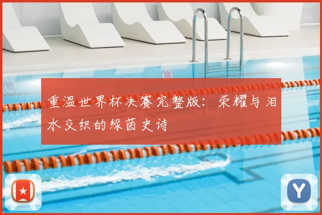 重温世界杯决赛完整版：荣耀与泪水交织的绿茵史诗