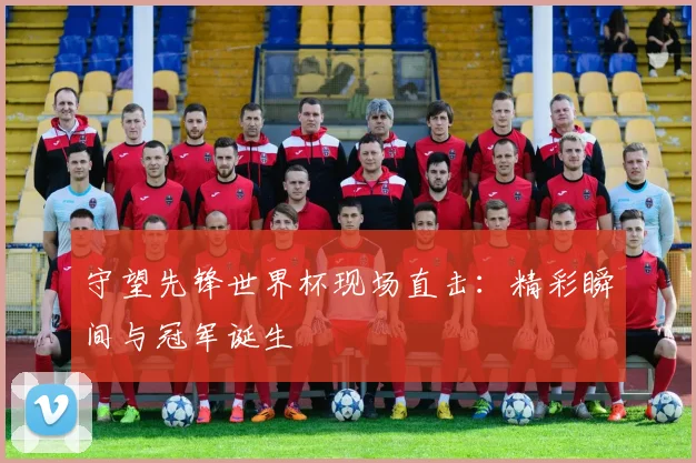 守望先锋世界杯现场直击：精彩瞬间与冠军诞生