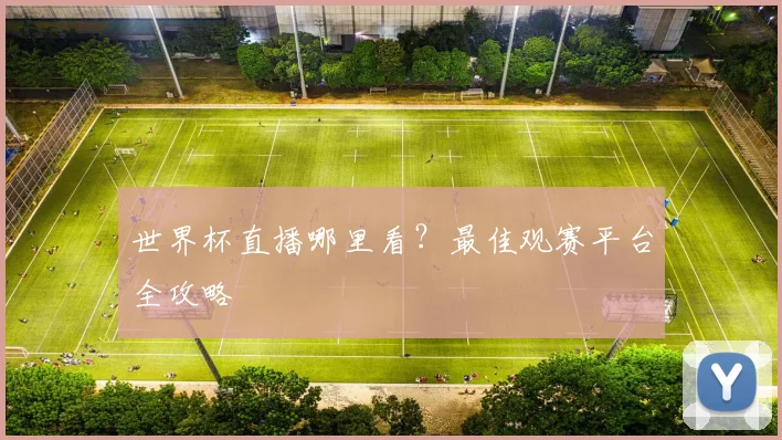 世界杯直播哪里看？最佳观赛平台全攻略
