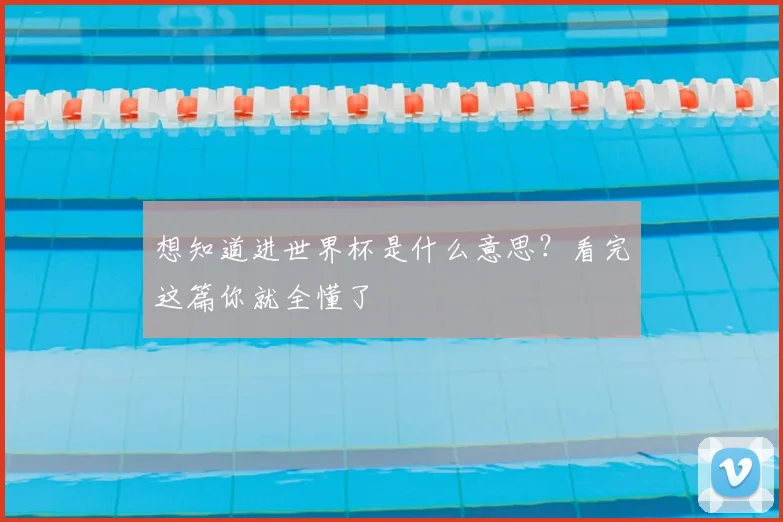 想知道进世界杯是什么意思？看完这篇你就全懂了