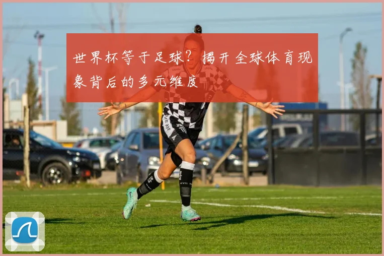 世界杯等于足球？揭开全球体育现象背后的多元维度