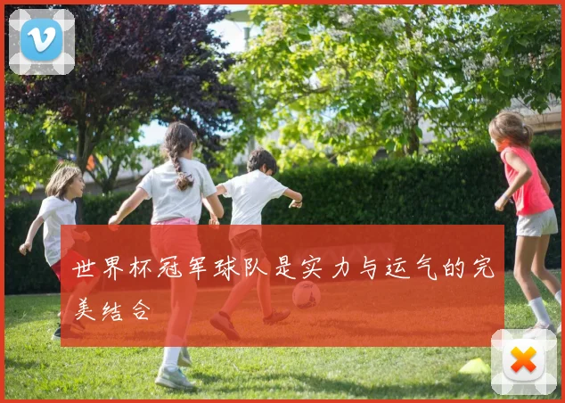 世界杯冠军球队是实力与运气的完美结合