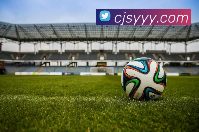 mksports登录入口全站App